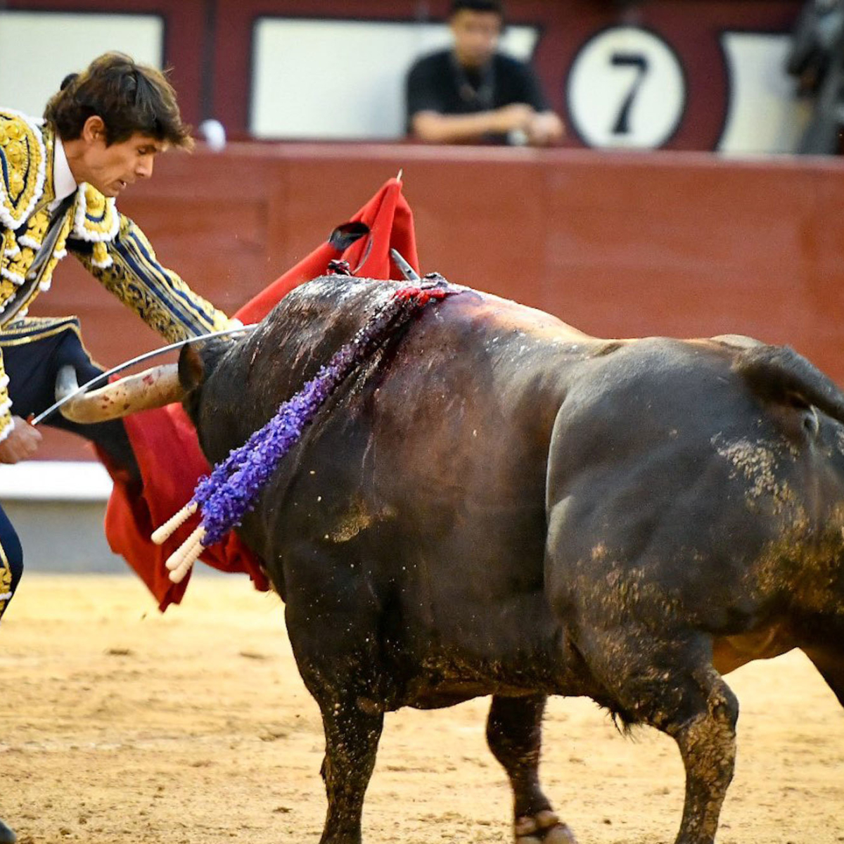 Grave cogida de Sebastián Castella, que mantuvo el tipo hasta el final |  Marca