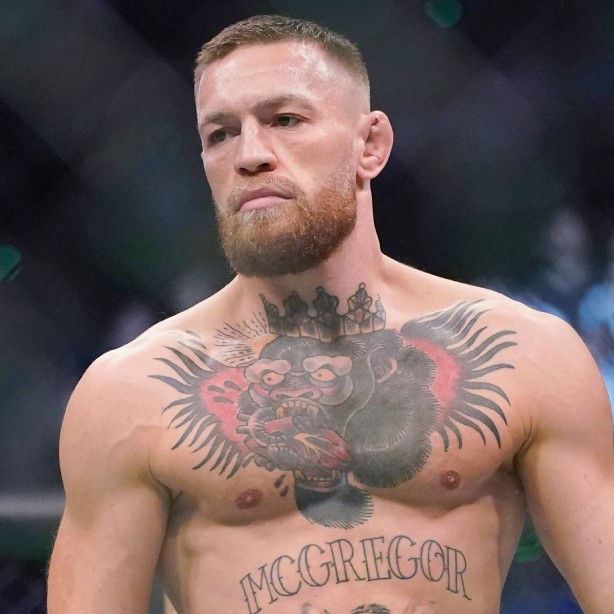 Qué fue de Conor McGregor y por qué dejó de pelear en UFC? | Marca