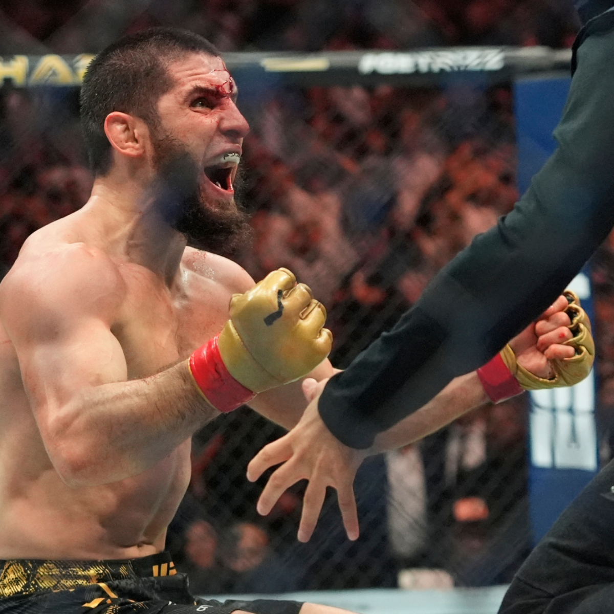 Makhachev somete a Poirier en un combate de época y se corona como el rey  de la UFC | Marca