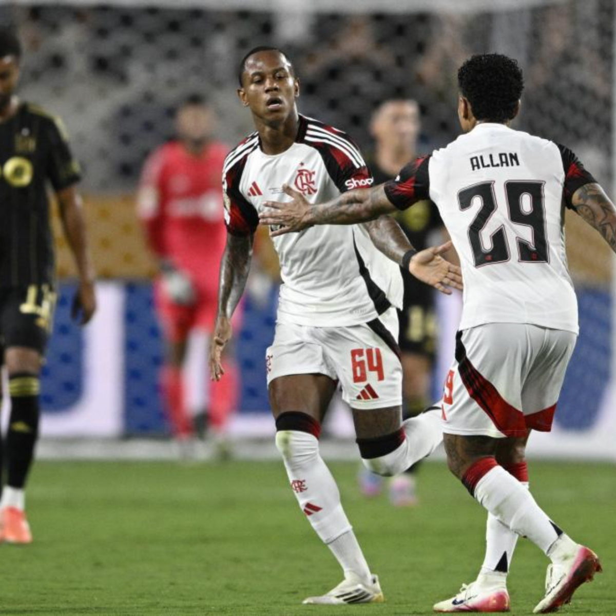 Feral frenzy shark video our schedules did not match for a