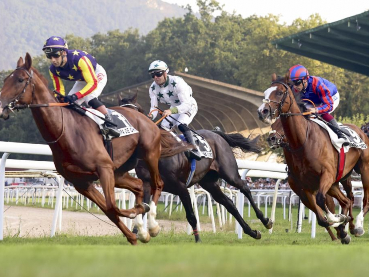 Pagine luci rosse follonica 11 min Pagine A Luci Rosse 5K.