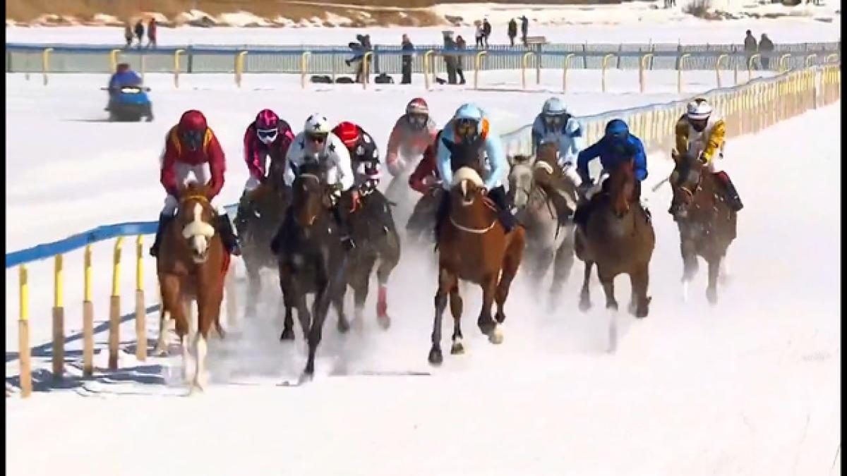 El caballo español &#039;Furioso&#039; vence en la prestigiosa prueba de St. Moritz sobre nieve