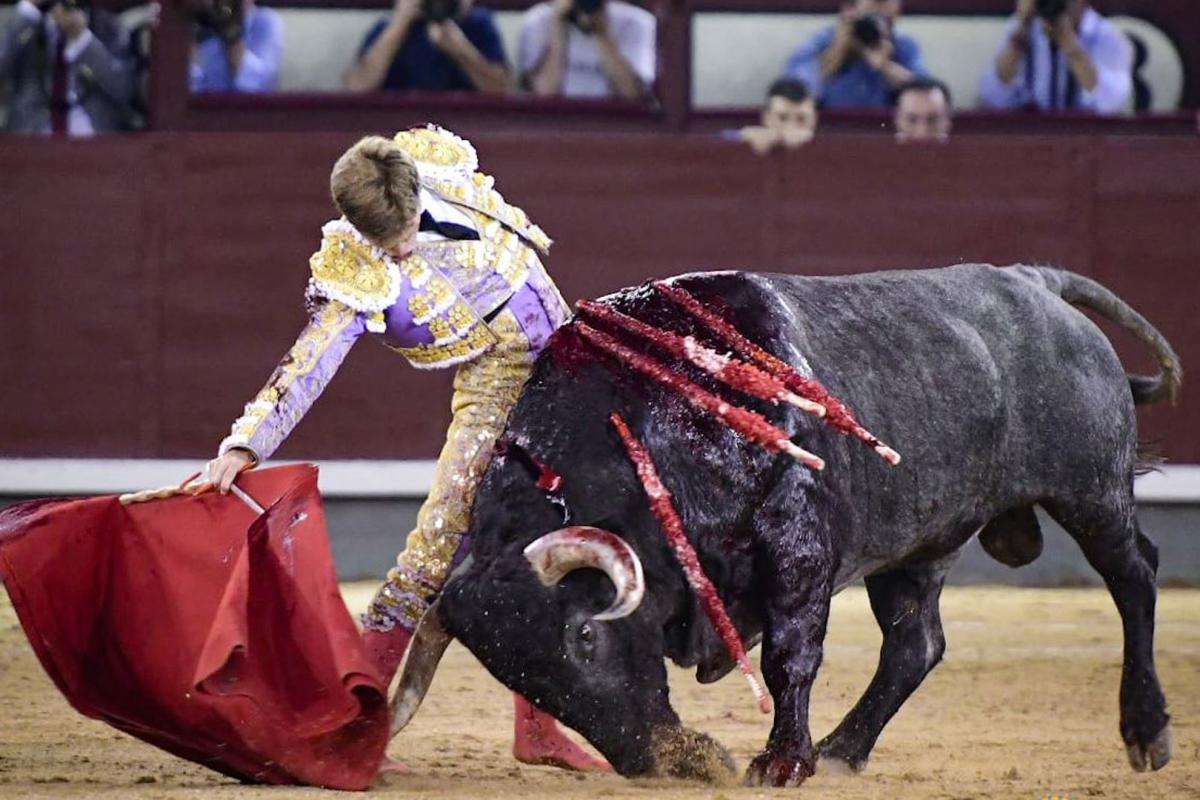 Borja Jiménez conquista Madrid venciendo a los victorinos | Marca