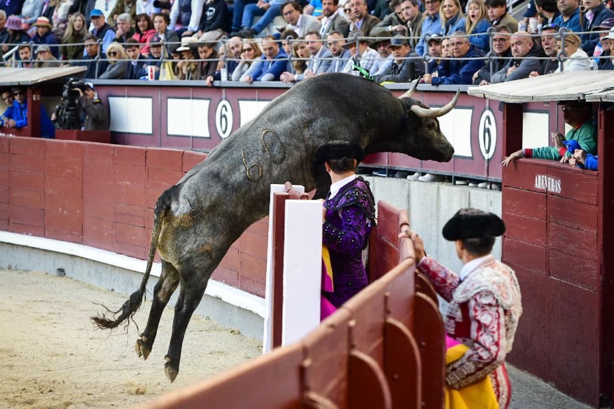 Juan de Castilla, de Vic a Madrid para crecer en la miurada | Marca