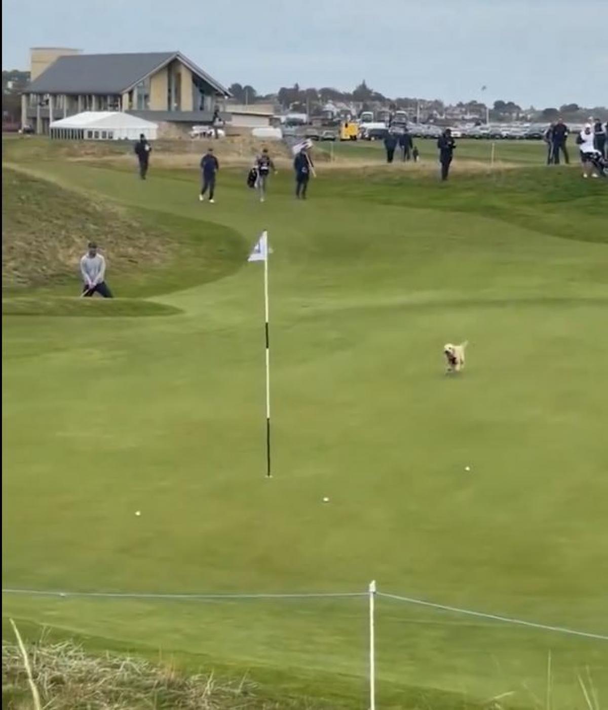 Gareth Bale se topa con un &#39;ladrón&#39; sorpresa en Dunhill Links