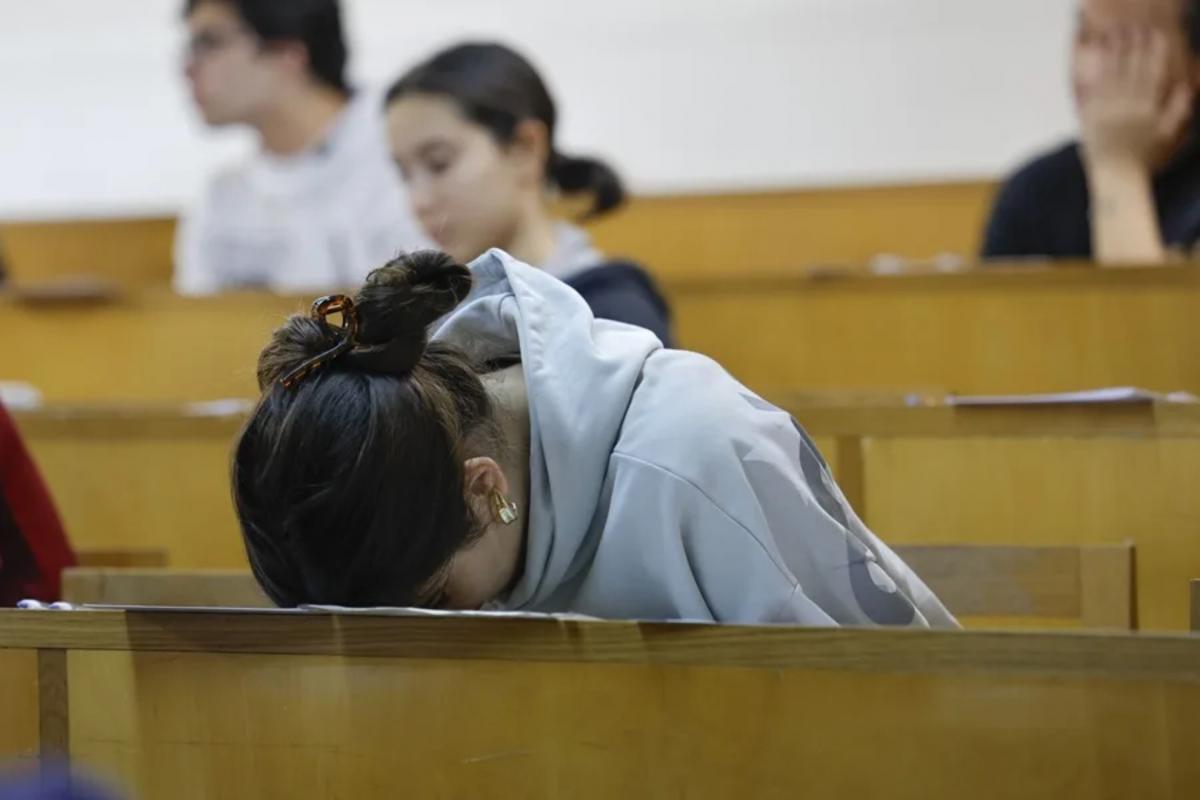 Indignada por el examen de Lengua en la PAU:  Cómo no me ha dado una embolia 