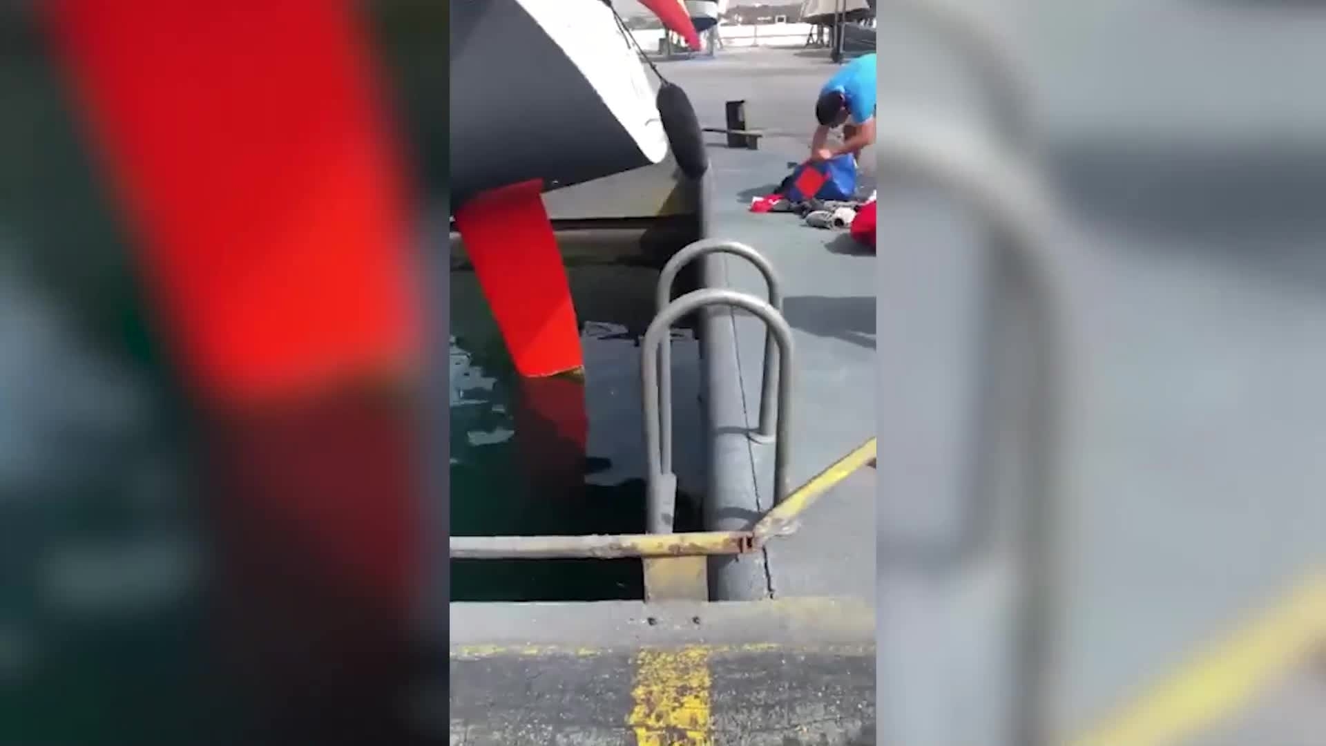 Un grupo de orcas ataca uno de los barcos de la Copa del Rey de vela