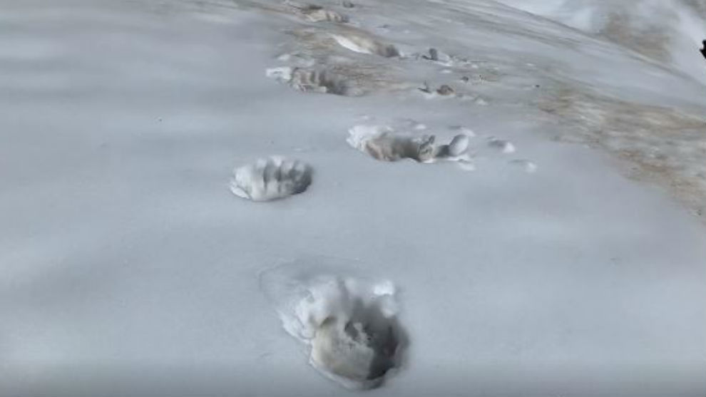 Una muestra de las huellas del oso dirección al lago Montolliu