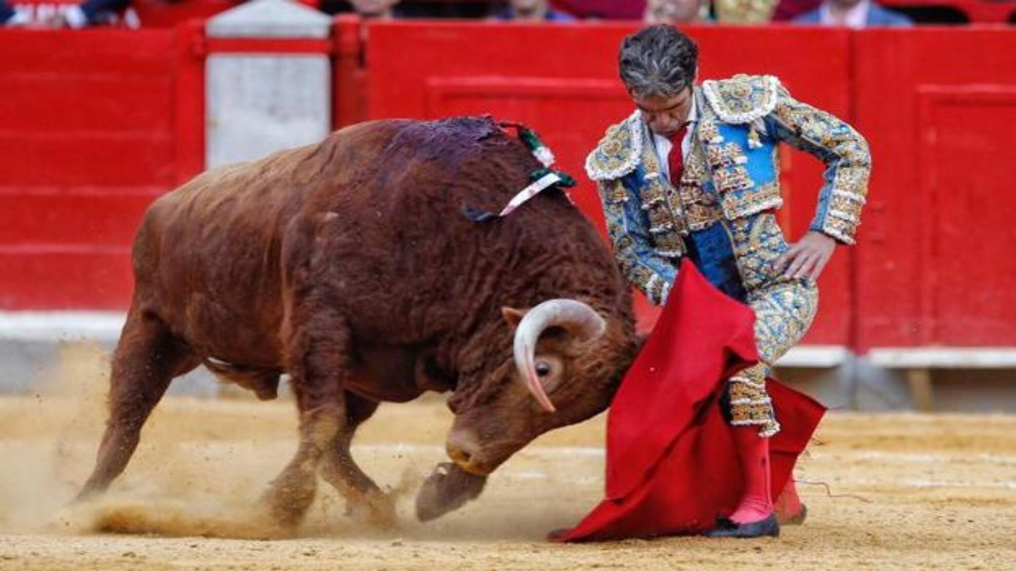 José Tomás se dobla con el toro durante su última actuación en Granada.