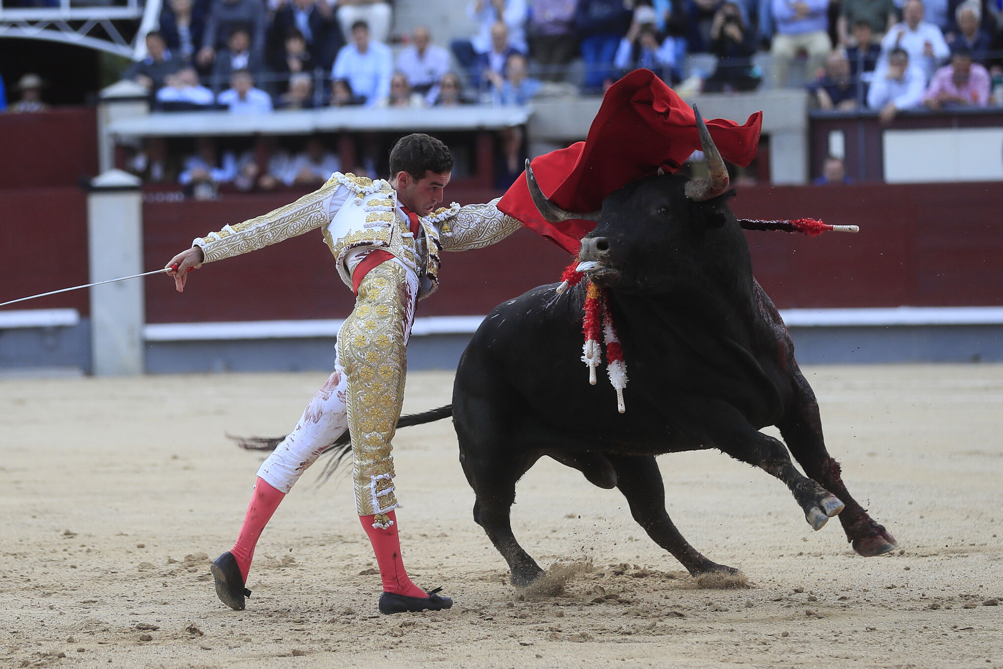 MADRID (ESPAÑA), 31/05/2023.- El diestro Fernando Adrián en su faena durante la corrida celebrada hoy miércoles en la plaza de toros de Las lt;HIT gt;Ventas lt;/HIT gt;, en Madrid. EFE/ Fernando Alvarado