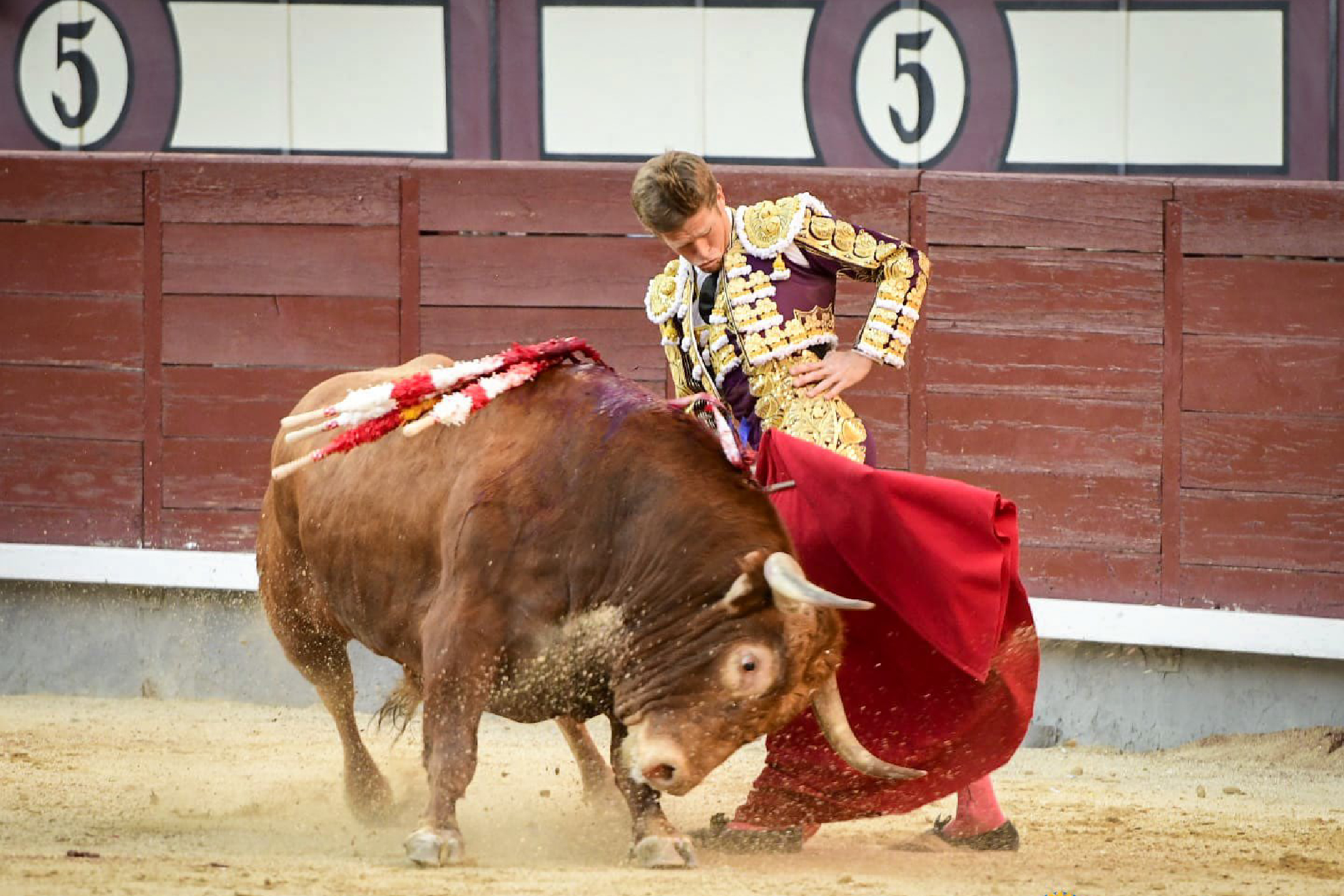 Borja Jiménez, torero de Madrid | Marca