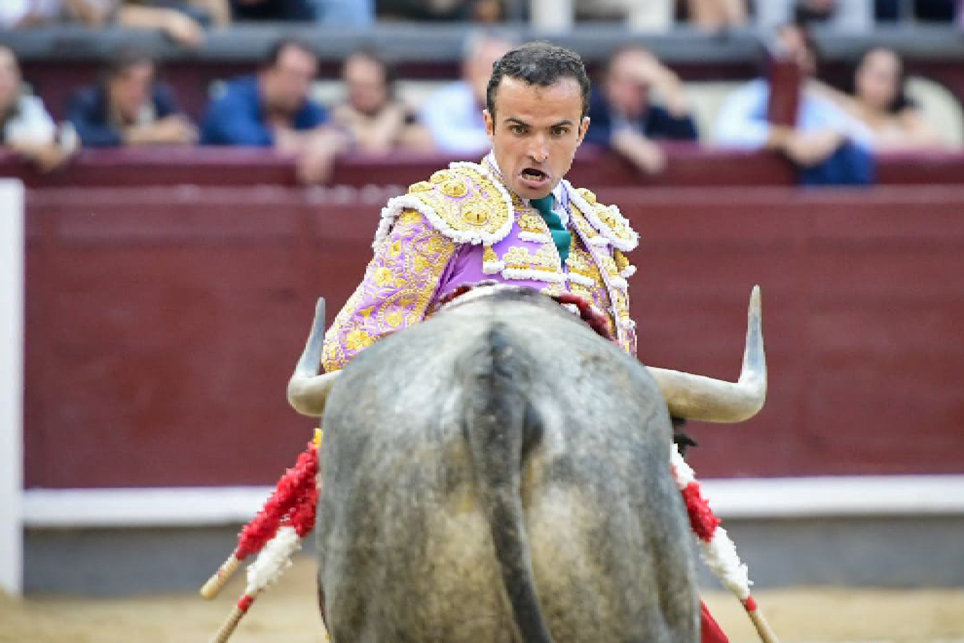 Preciosa estampa de Damián Castaño citando al ejemplar de José Escolar