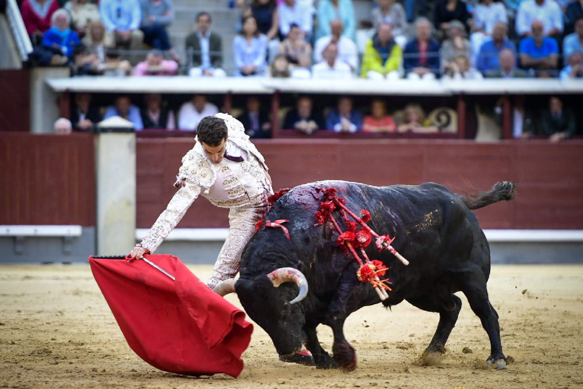 Fernando Adrián remontó la faena a base de toreo en redondo muy ligado