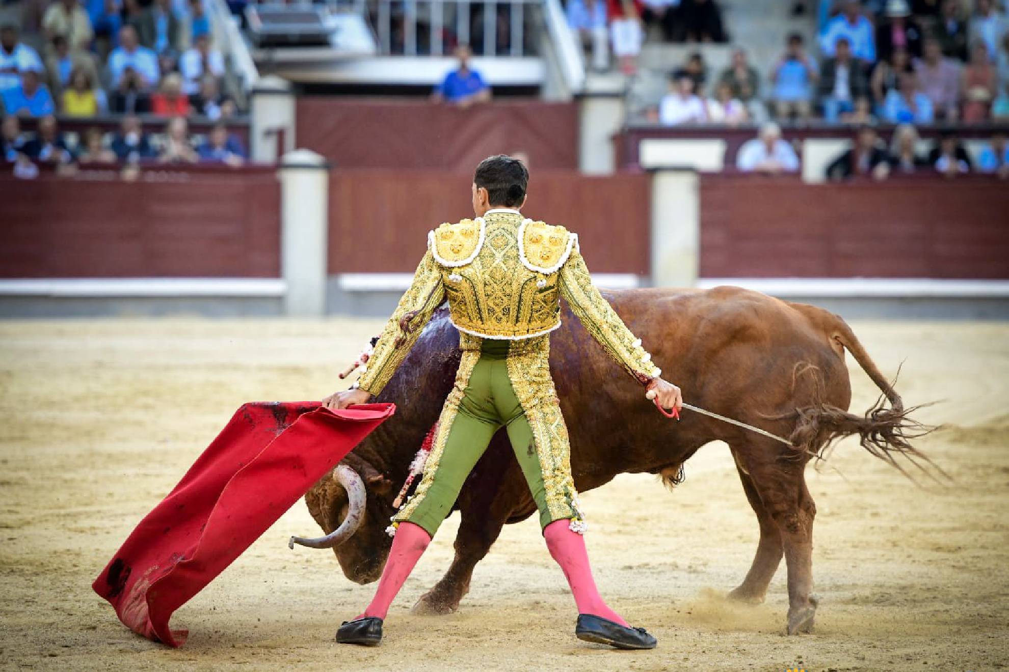 El valor de Paco Ureña volvió a quedar demostrado en la corrida homenaje a Antoñete