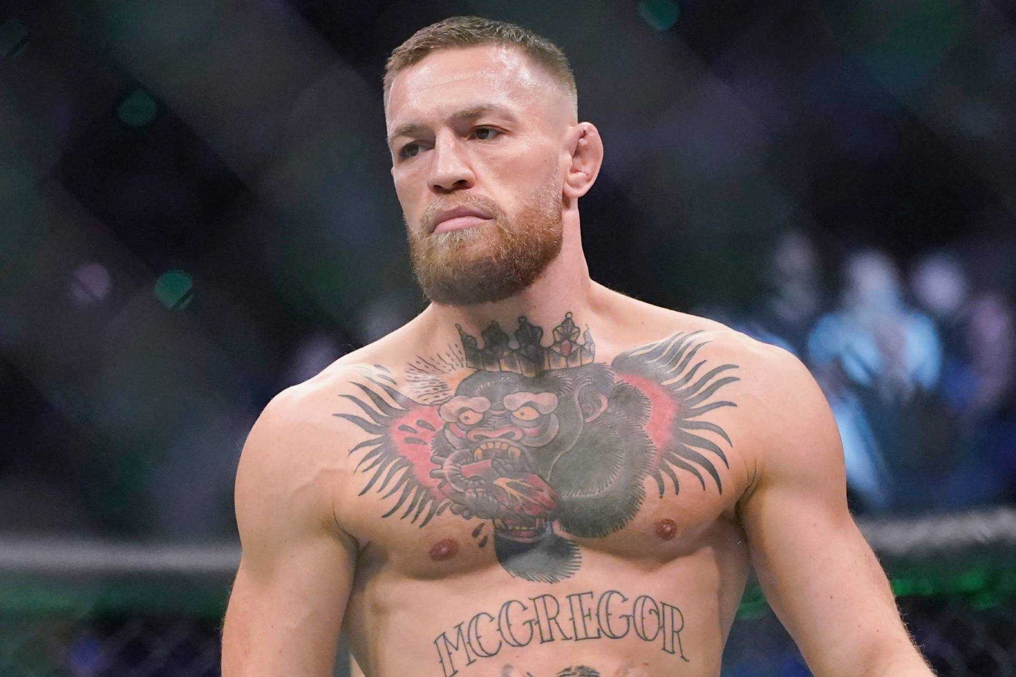 Qué fue de Conor McGregor y por qué dejó de pelear en UFC? | Marca