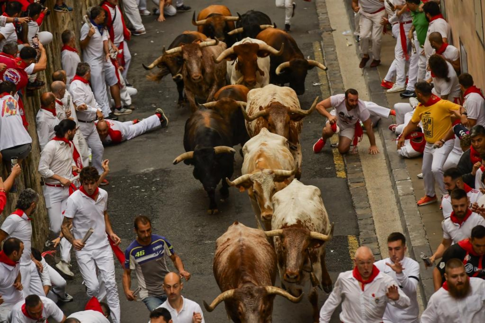 Cu ntos Toros Corren En Cada Encierro De Sanfermines Y Cu l Es El Cu ntos Toros Corren En Cada Encierro De Sanfermines Y Cu l Es El