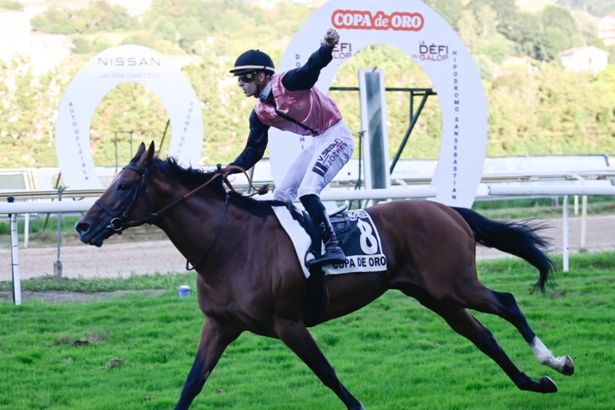 Media Storm se paseó en la Copa de Oro.