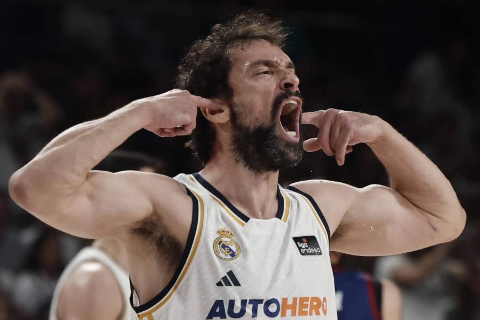 Sergio Llull