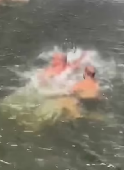 El luchador Ottman Azaitar salva al representante Ali Abdelaziz de morir ahogado en una cascada de Hawaii