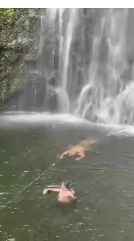 El luchador Ottman Azaitar salva al representante Ali Abdelaziz de morir ahogado en una cascada de Hawaii