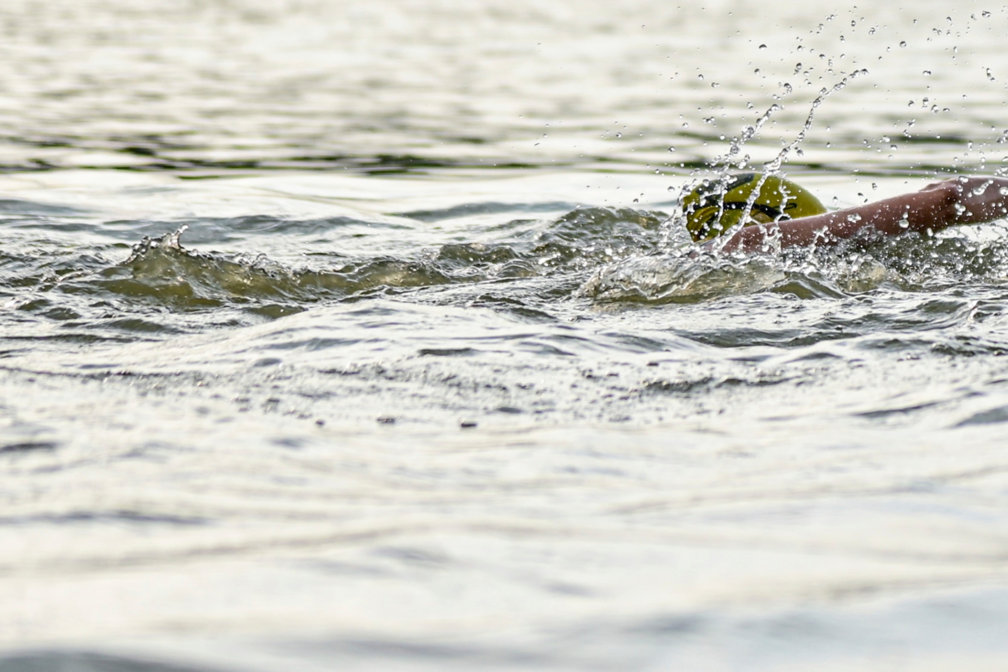 Segmento de natación