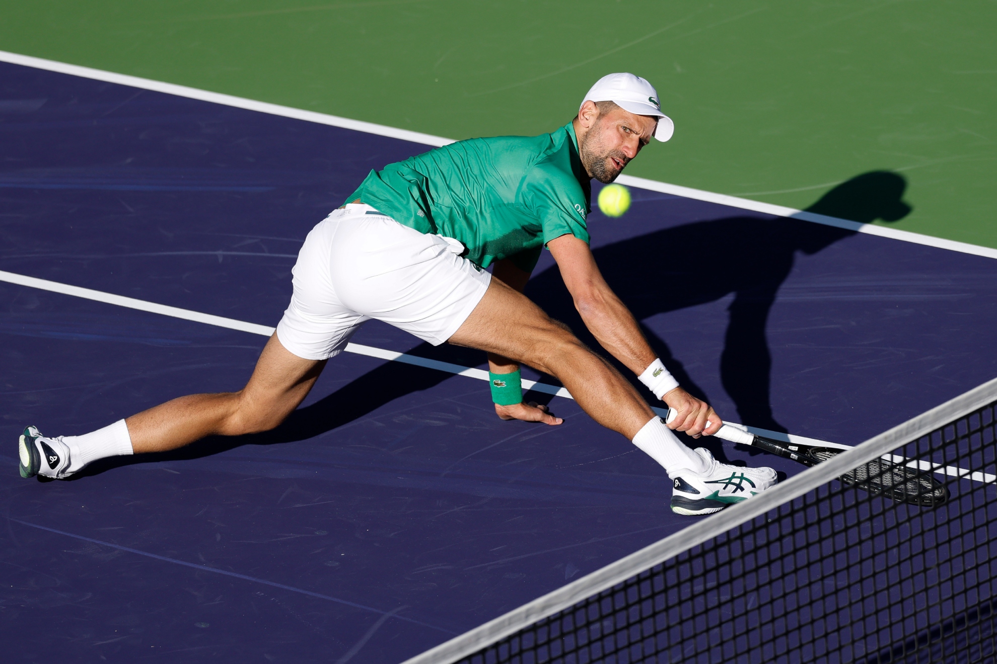 Djokovic intenta devolver una bola.