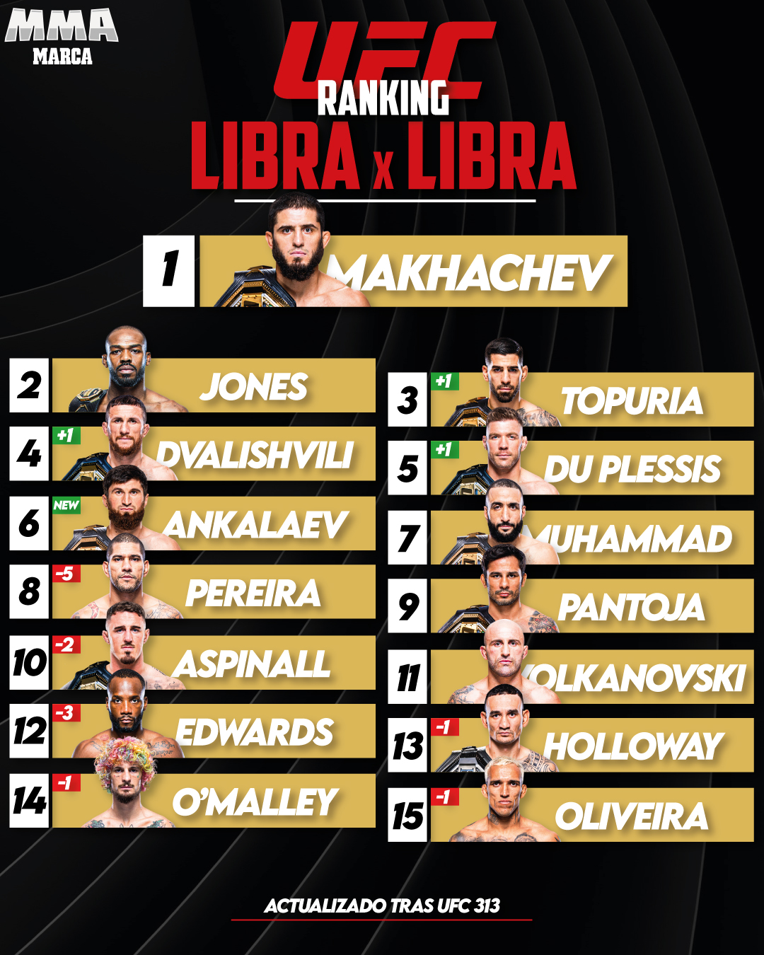 Ranking libra por libra.