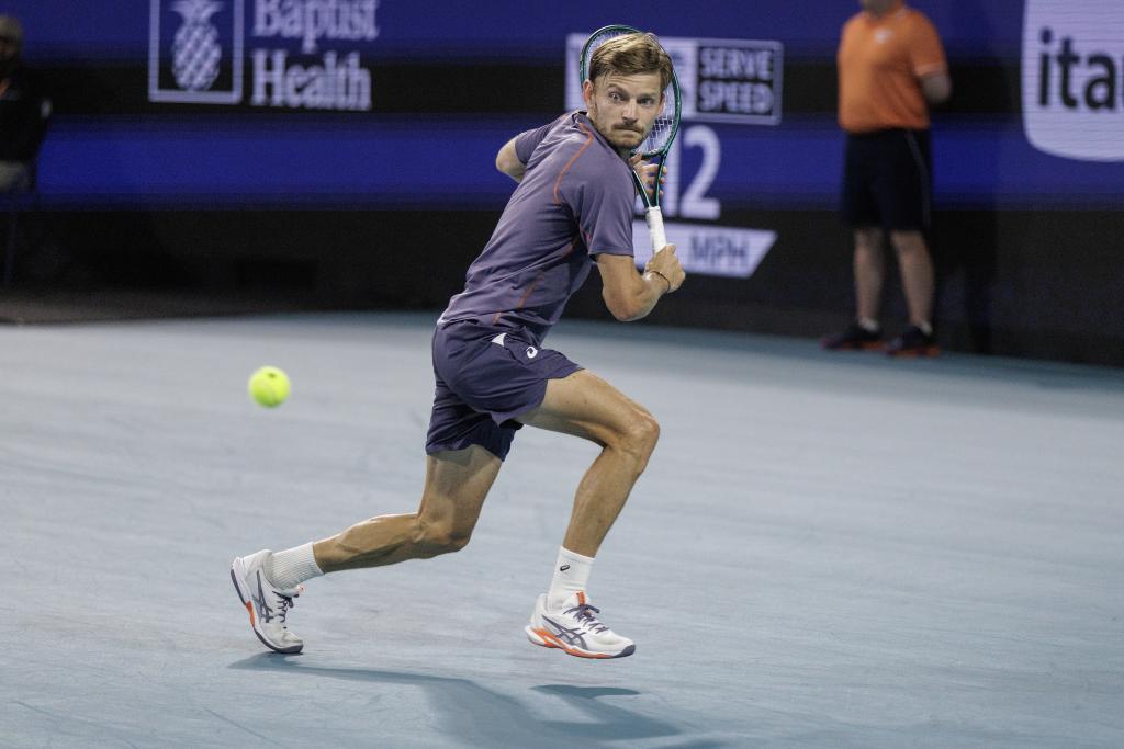 David Goffin
