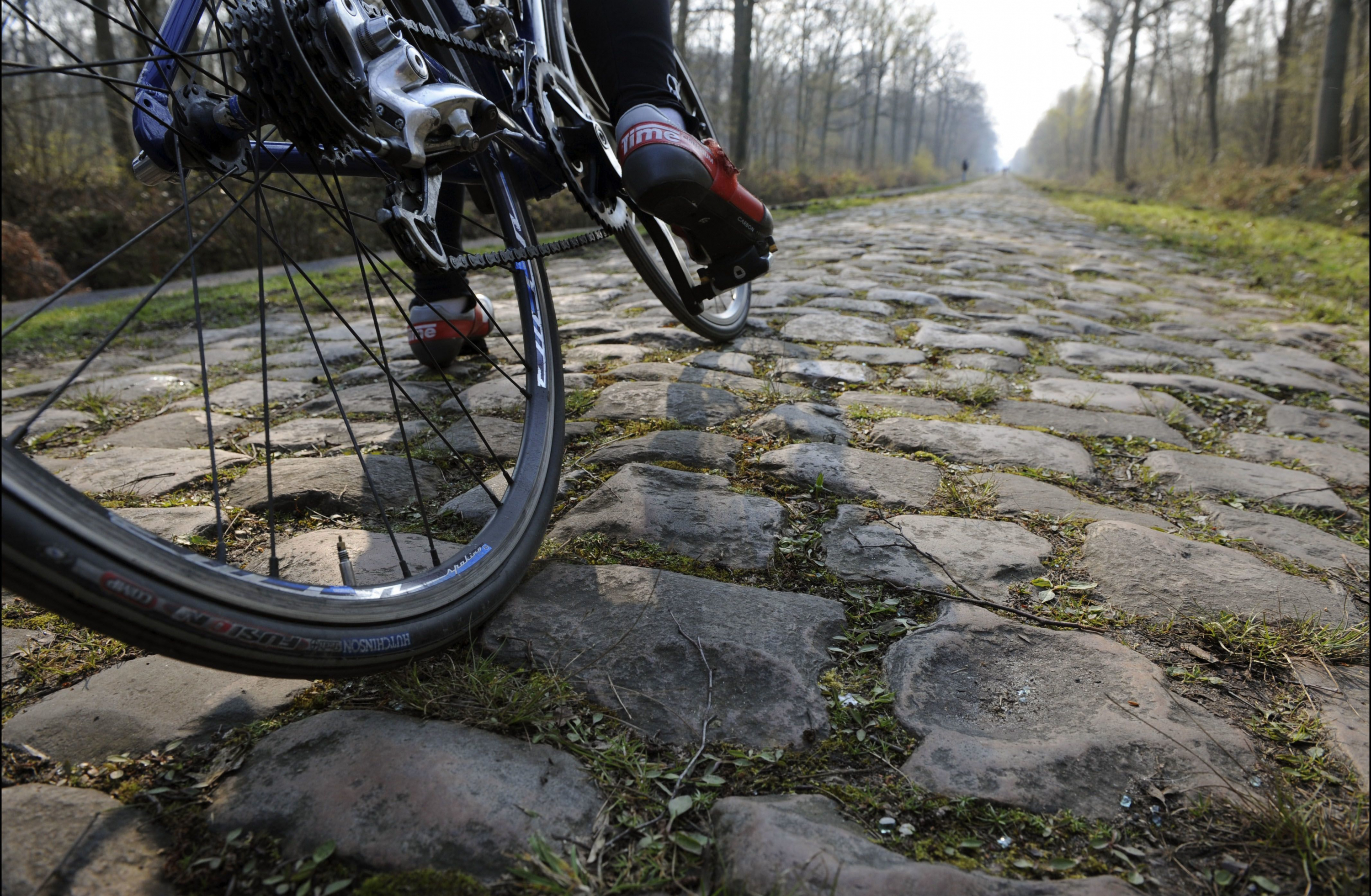 Paris-Roubaix - Cobbles in the Arenberg Forest