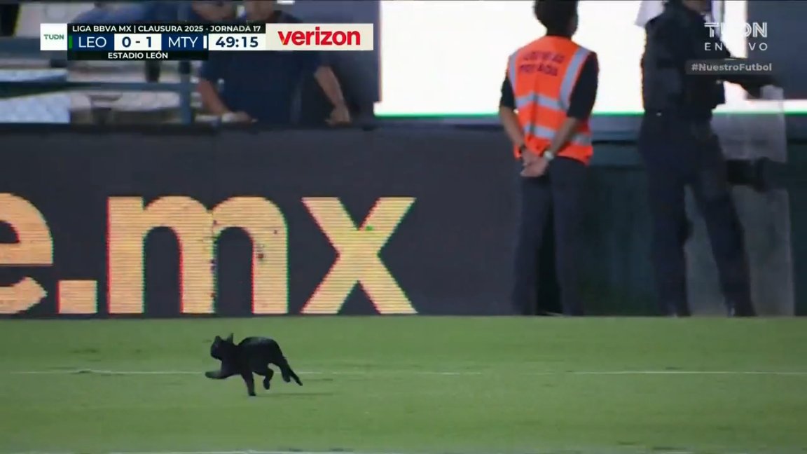 A black cat interrupted the game between Rayados and León