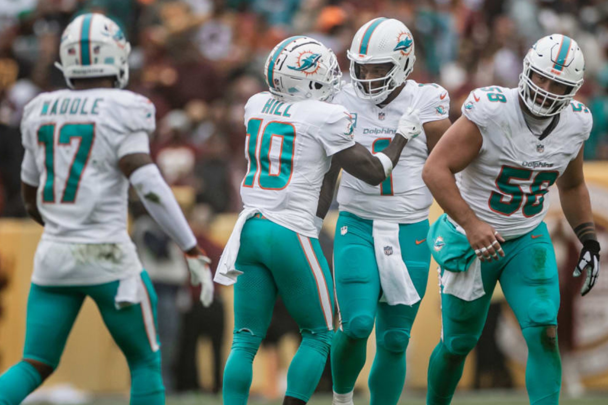 The Dolphins celebrate in the game against Washington of 2024.