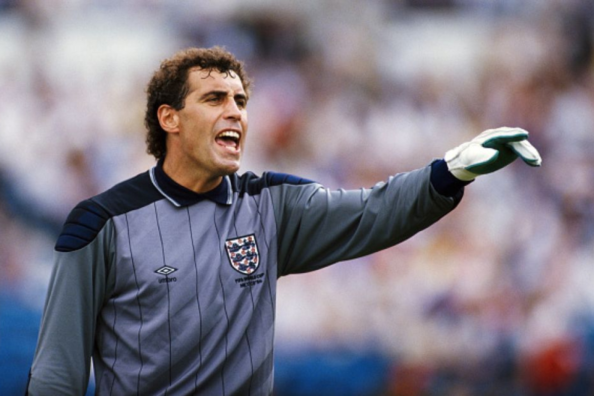 Peter Shilton in a match with the England team
