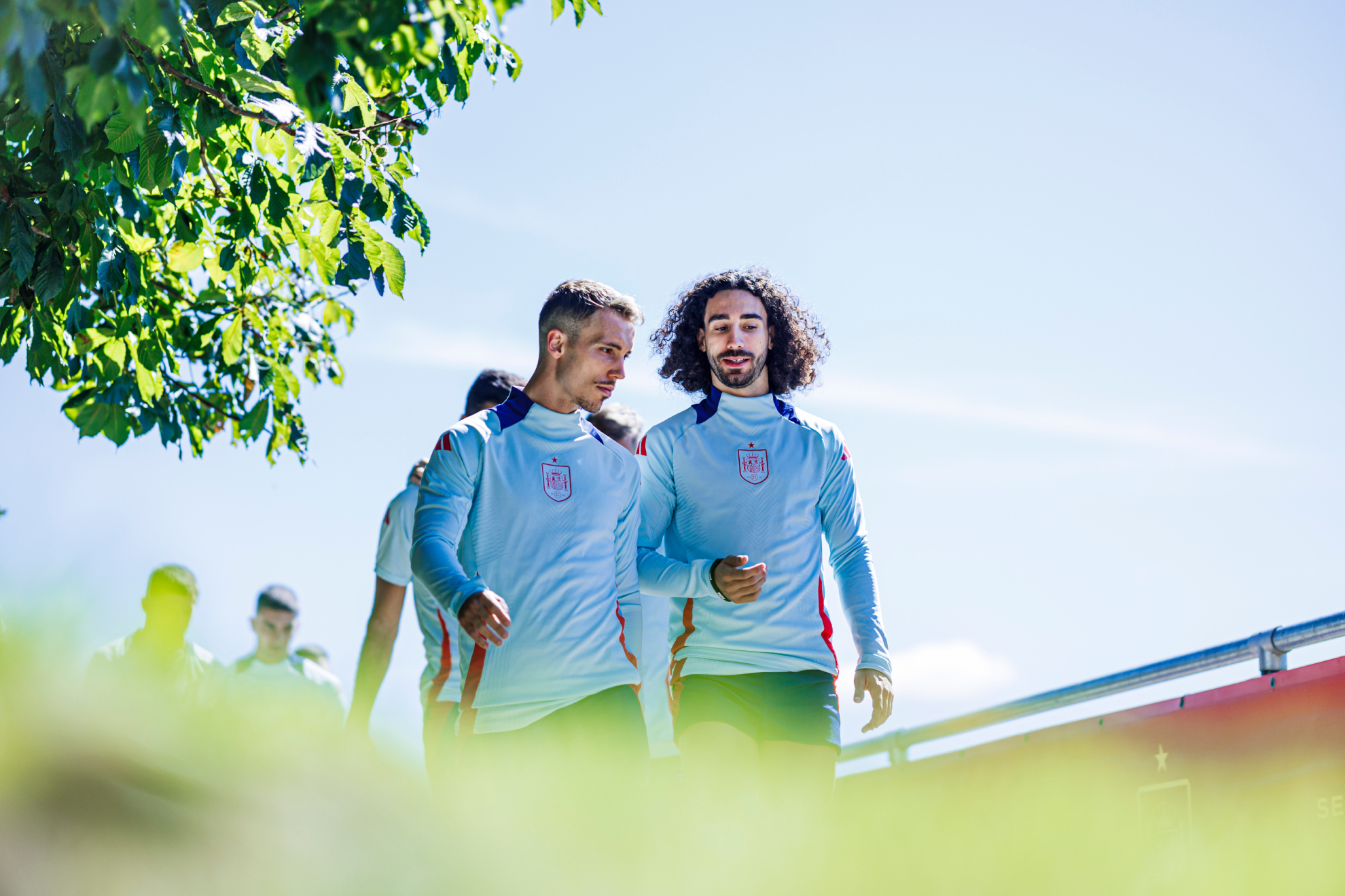 Grimaldo y Cucurella,.