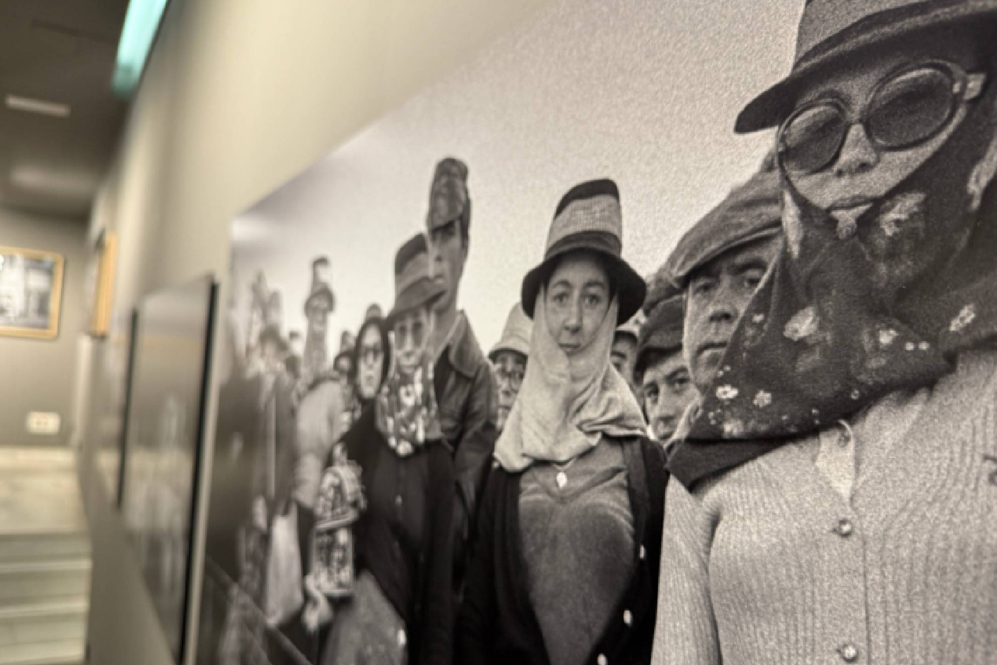 The sample can be seen until July 16. Photo: Cristina Gala.