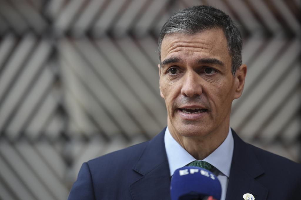 The President of the Spanish Government, Pedro Sánchez