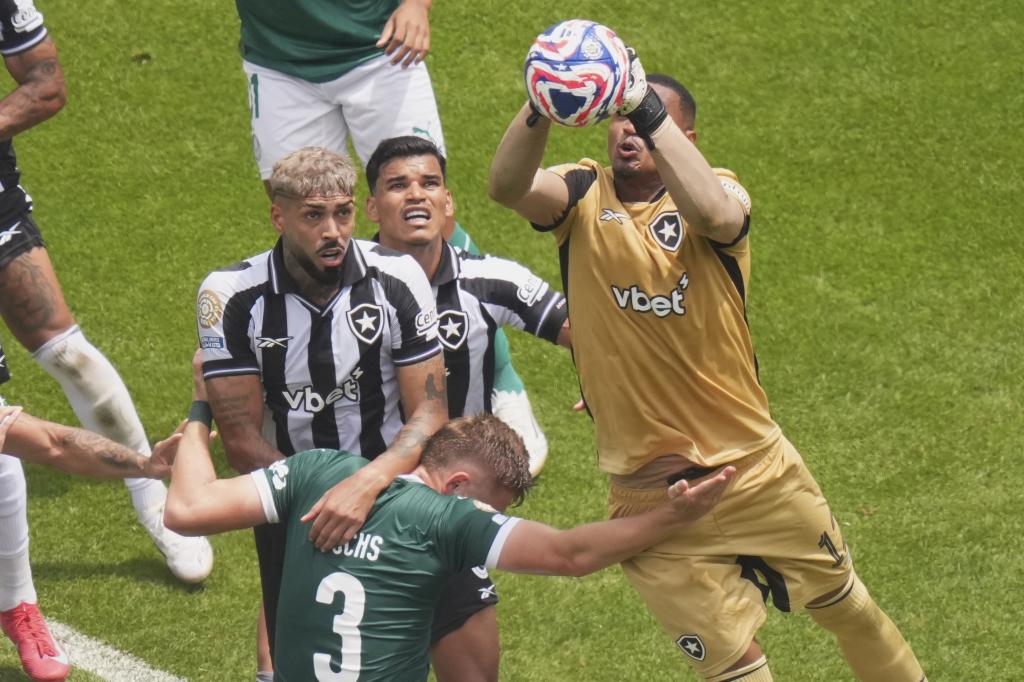 John, Botafogo goal, clears of fists before the presence of Bruno Fuchs