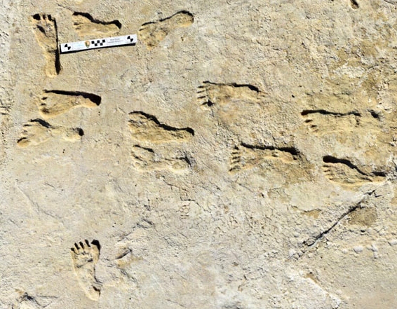 The fingerprints found in White Sands