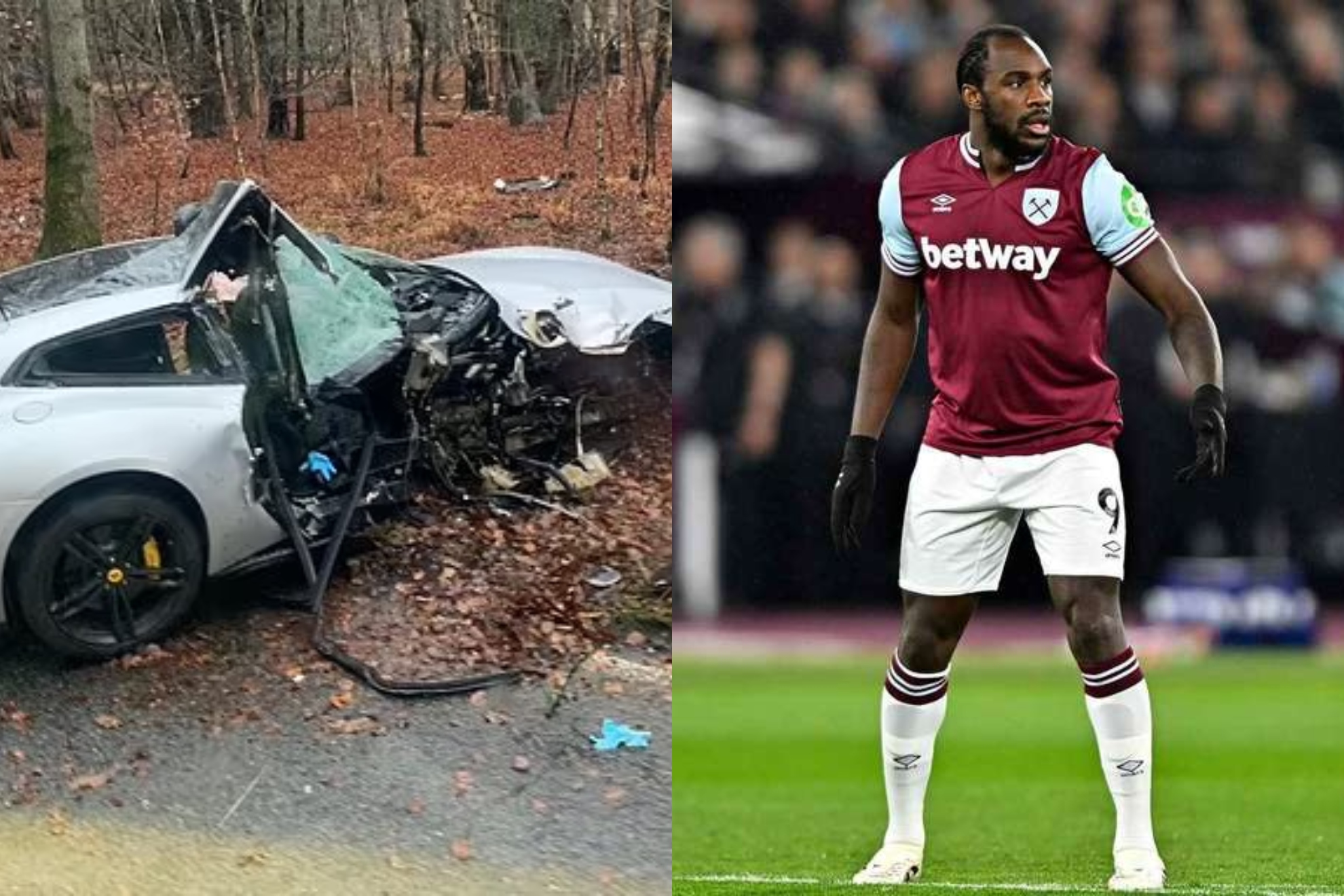 Alyson eckmann xvideos reliable last option for a no rush