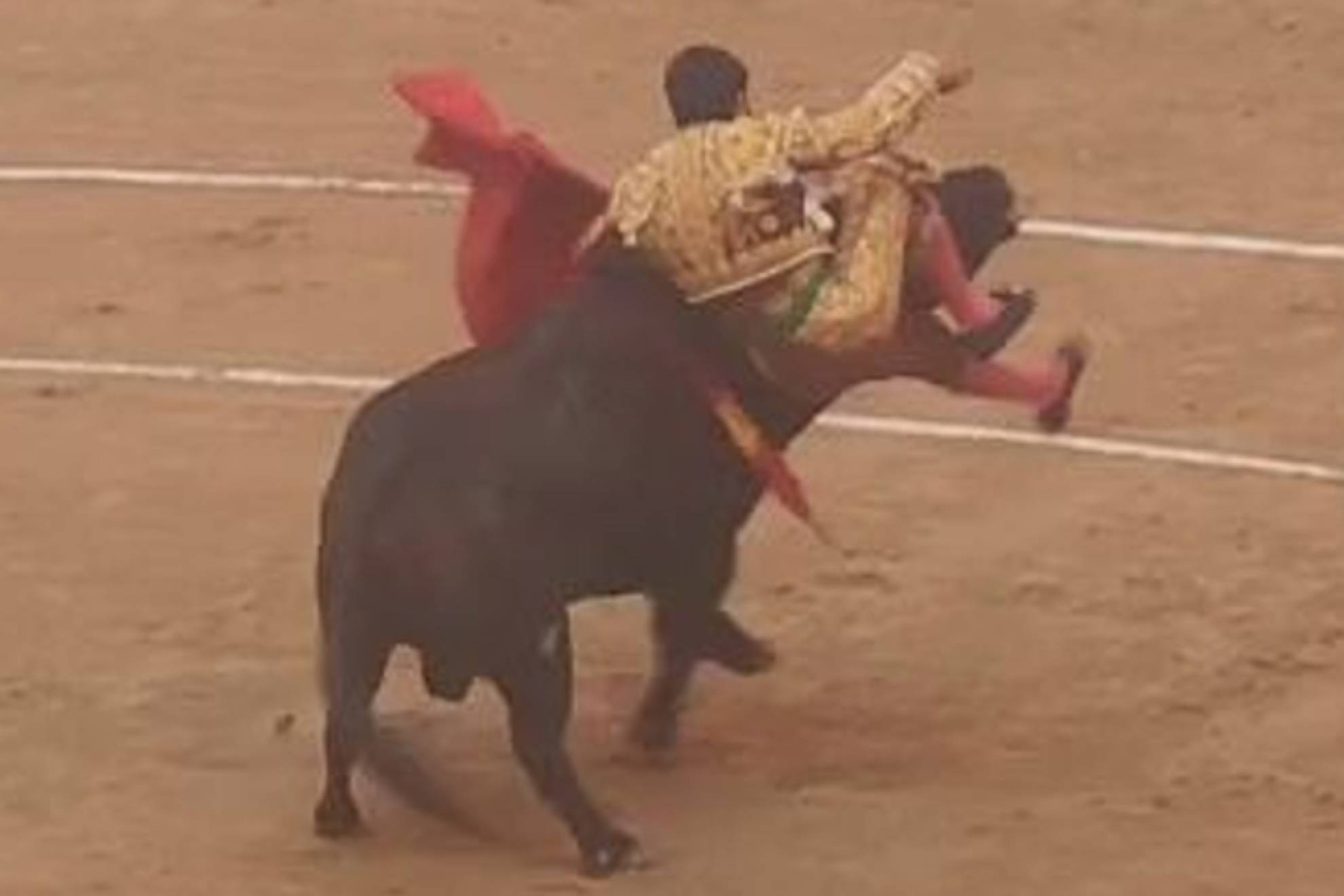 Morante De La Puebla Sufre Una extensa Y Grave Cornada De Doble morante-de-la-puebla-sufre-una-extensa-y-grave-cornada-de-doble